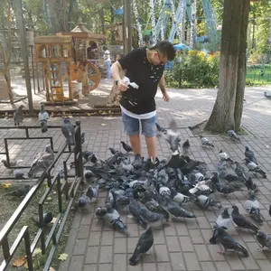 Я Ирина Кот, 35, знакомлюсь для регулярного секса в Орехово-Зуево